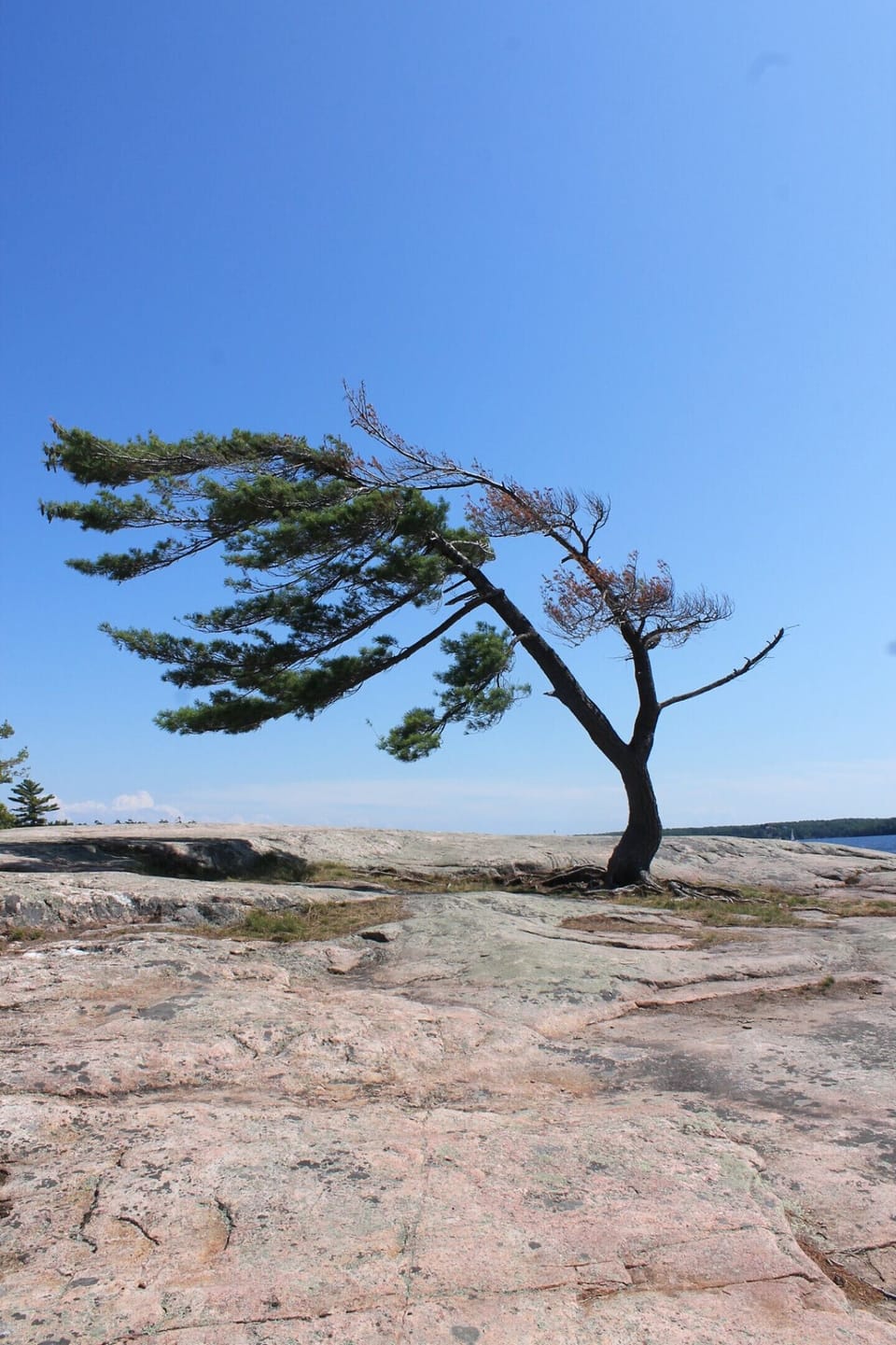 Explore Muskoka Area