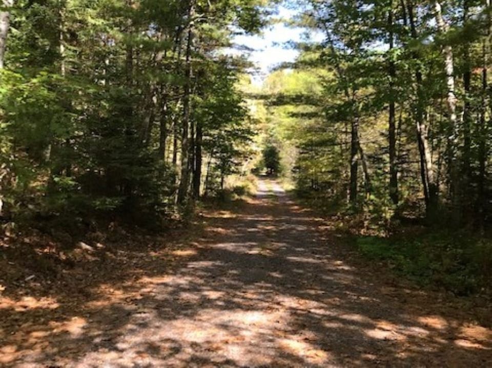 Scenic, private road leads back to the cabin