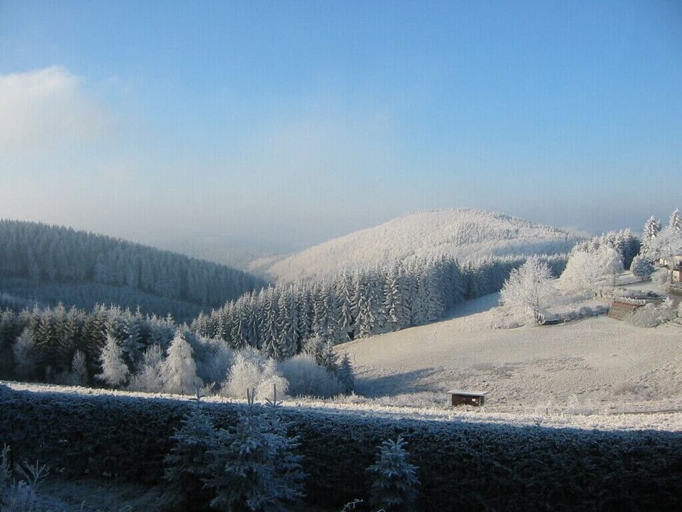 Modern furnished apartment with a fully equipped kitchen and terrace Apartment in Winterberg