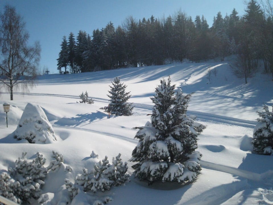 Snow and ski sports