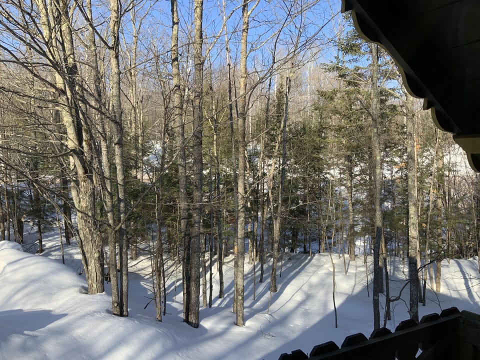 View from property
