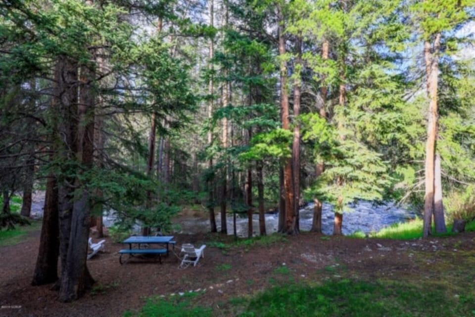 View off our deck