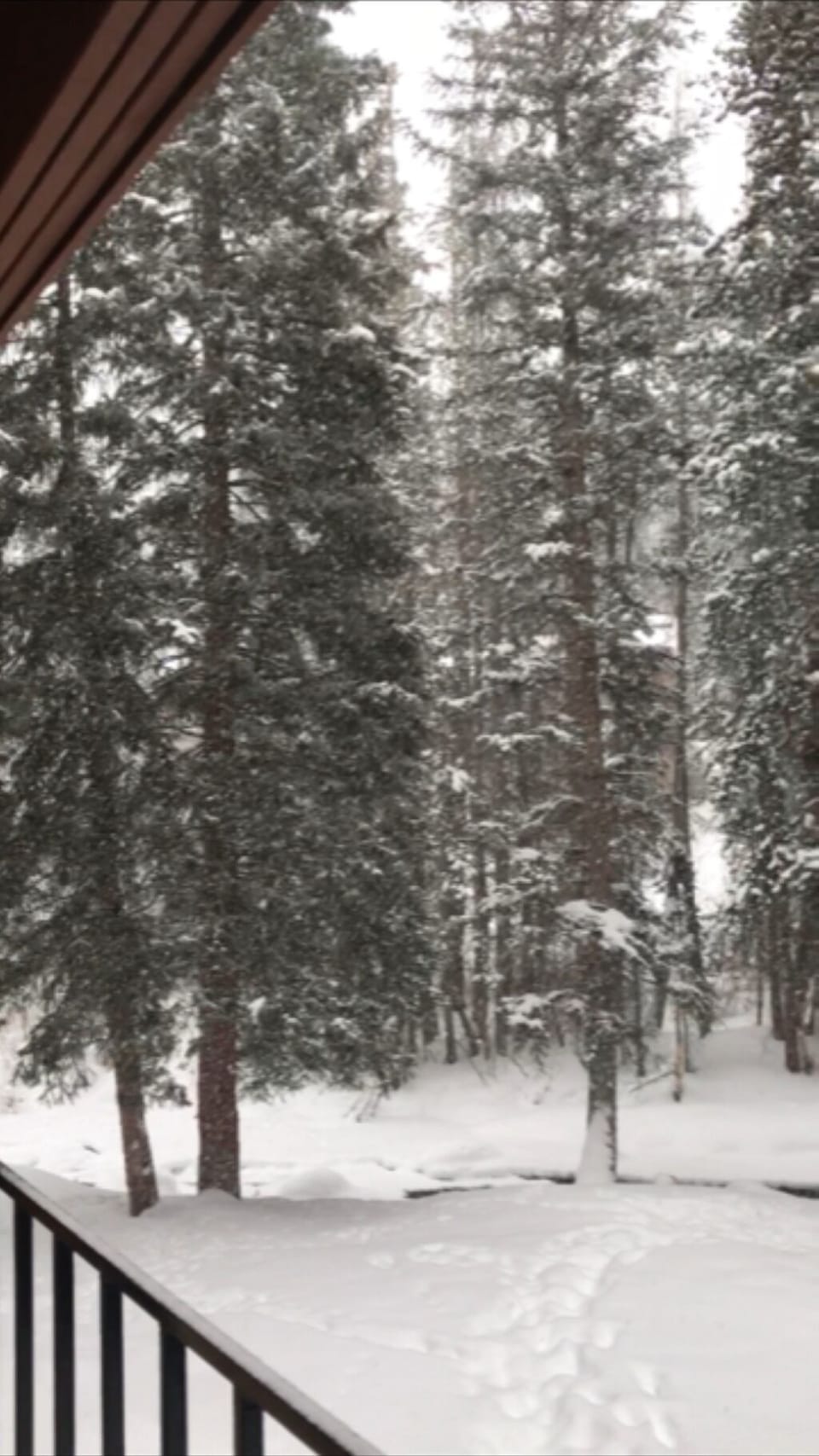View off back deck