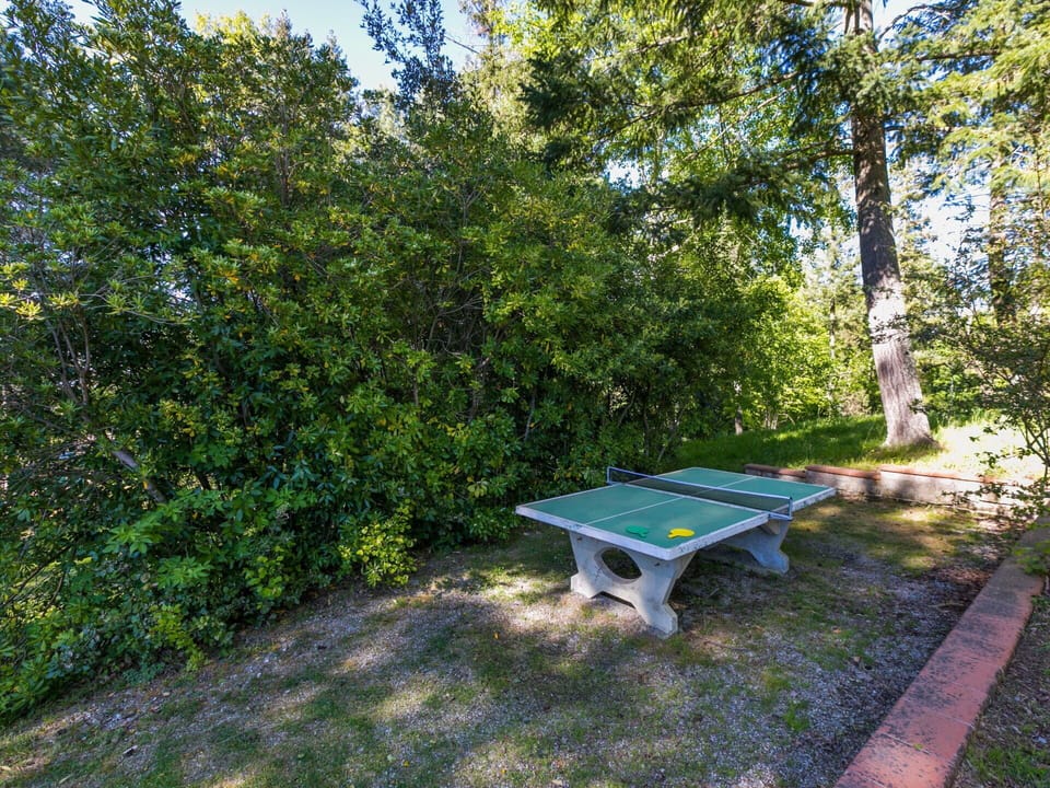 Blue, Shrub, Sunlight, Spring, Woody Plant, Shade, Garden, Outdoor Furniture, Backyard, Evergreen