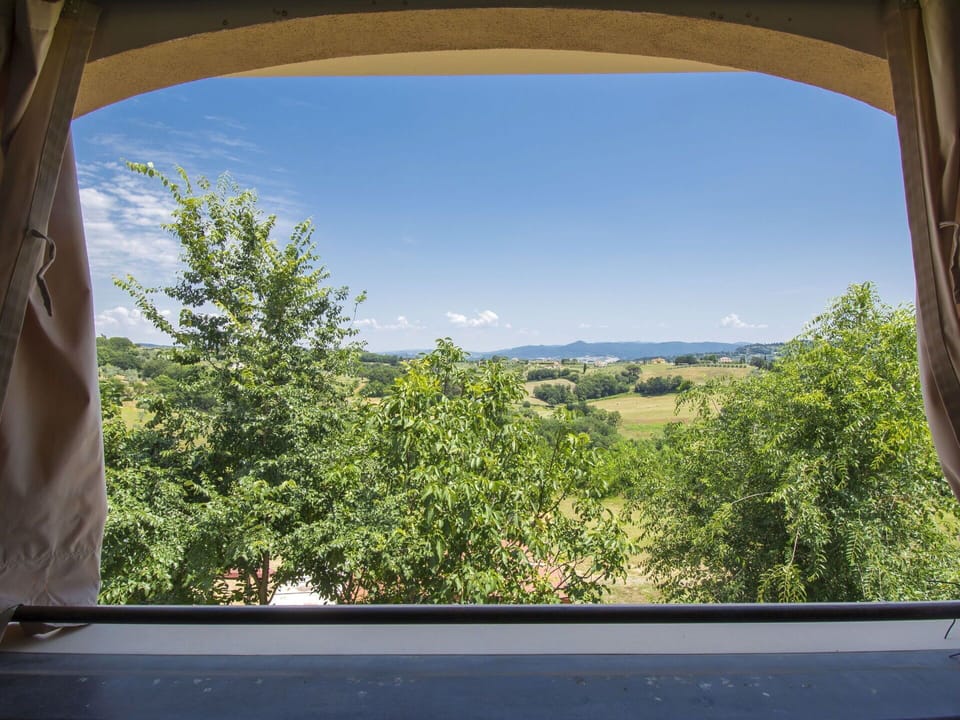Sky, Vegetation, Property, Window, Natural Landscape, Tree, Daytime, Wilderness, Cloud, Room