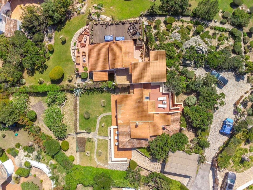 Plant, Building, Green, Tree, Land Lot, Urban Design, House, Neighbourhood, Grass, Residential Area