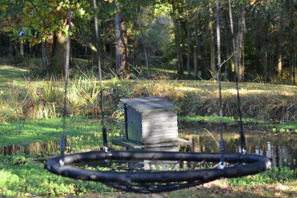 Swing by the pond