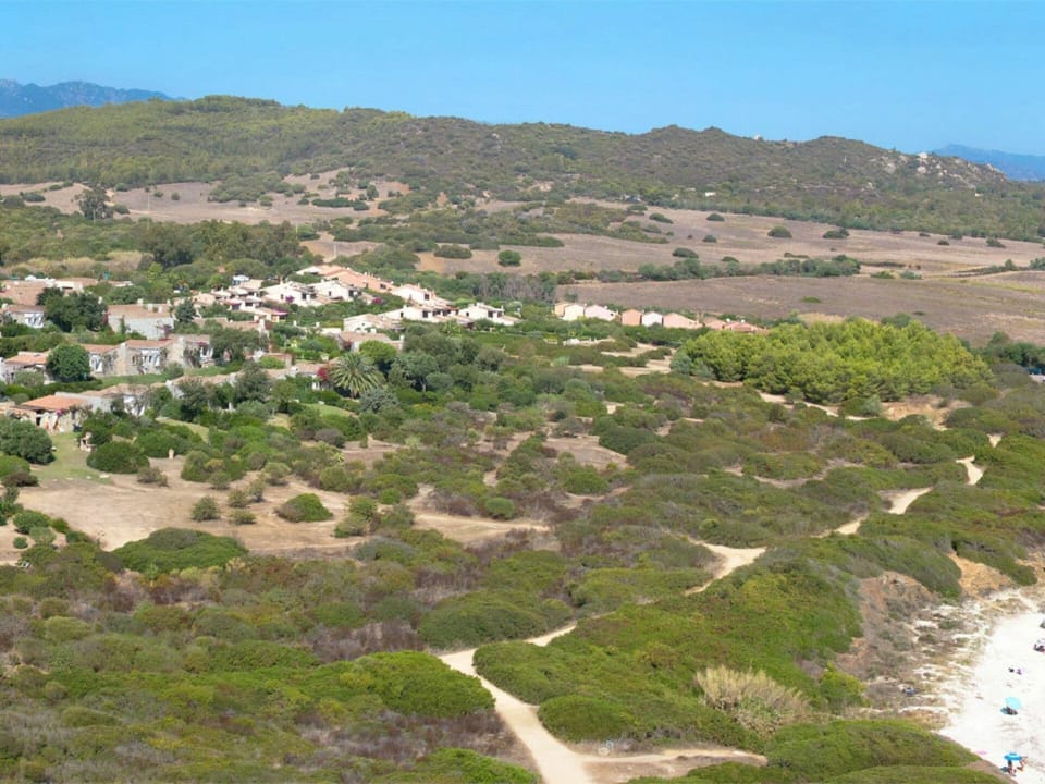 Sky, Plant, Plant Community, Mountain, Natural Landscape, Vegetation, Tree, Land Lot, Mountainous Landforms, Grassland