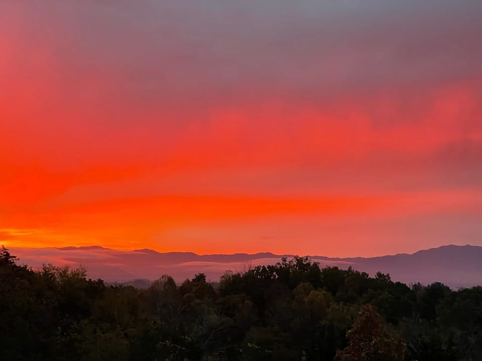 This photo was taken during sunrise at our back porch.Enjoy!!