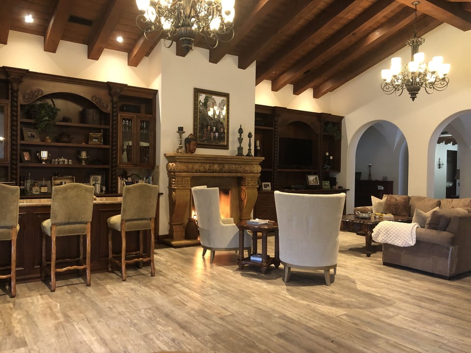 Living room and bar