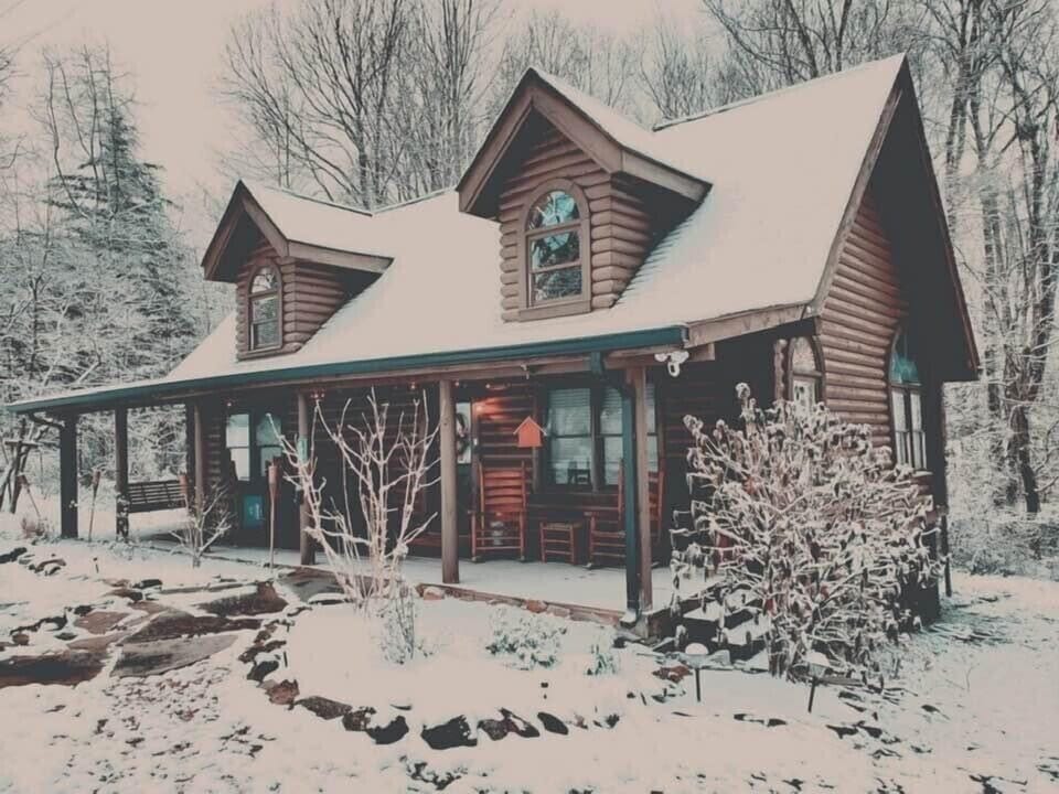 Cabin in the snow 3/2022