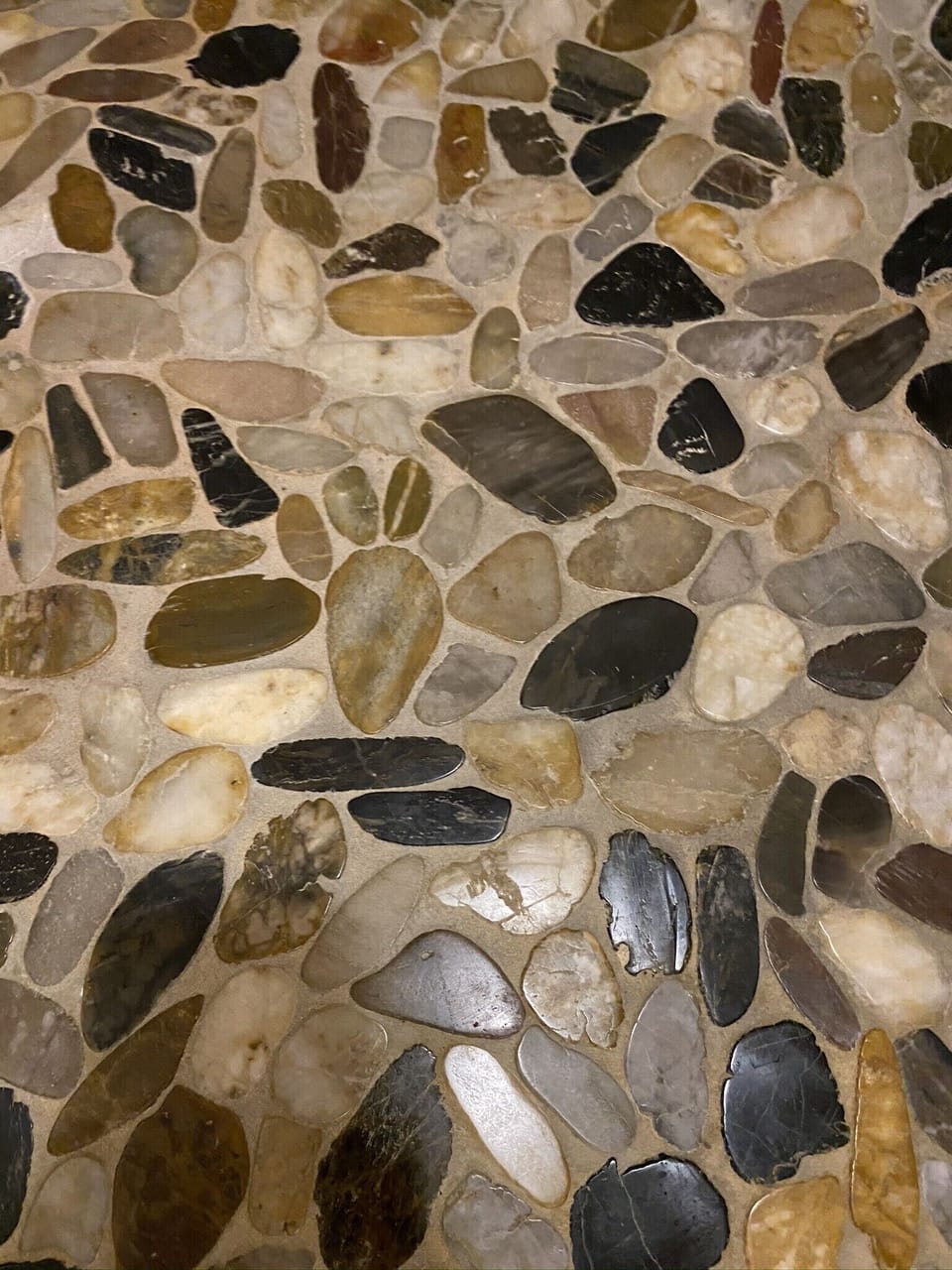 Bear paw in the master bath floor 