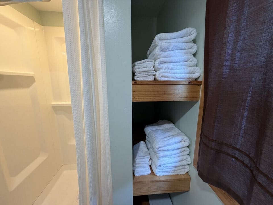 Whips 2 Towels Provided