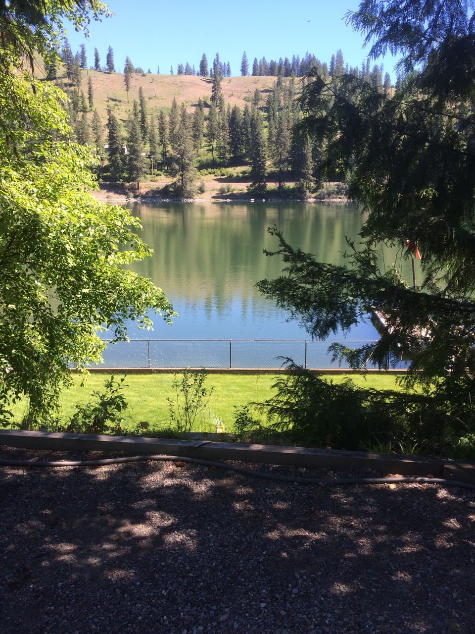 View across the river.