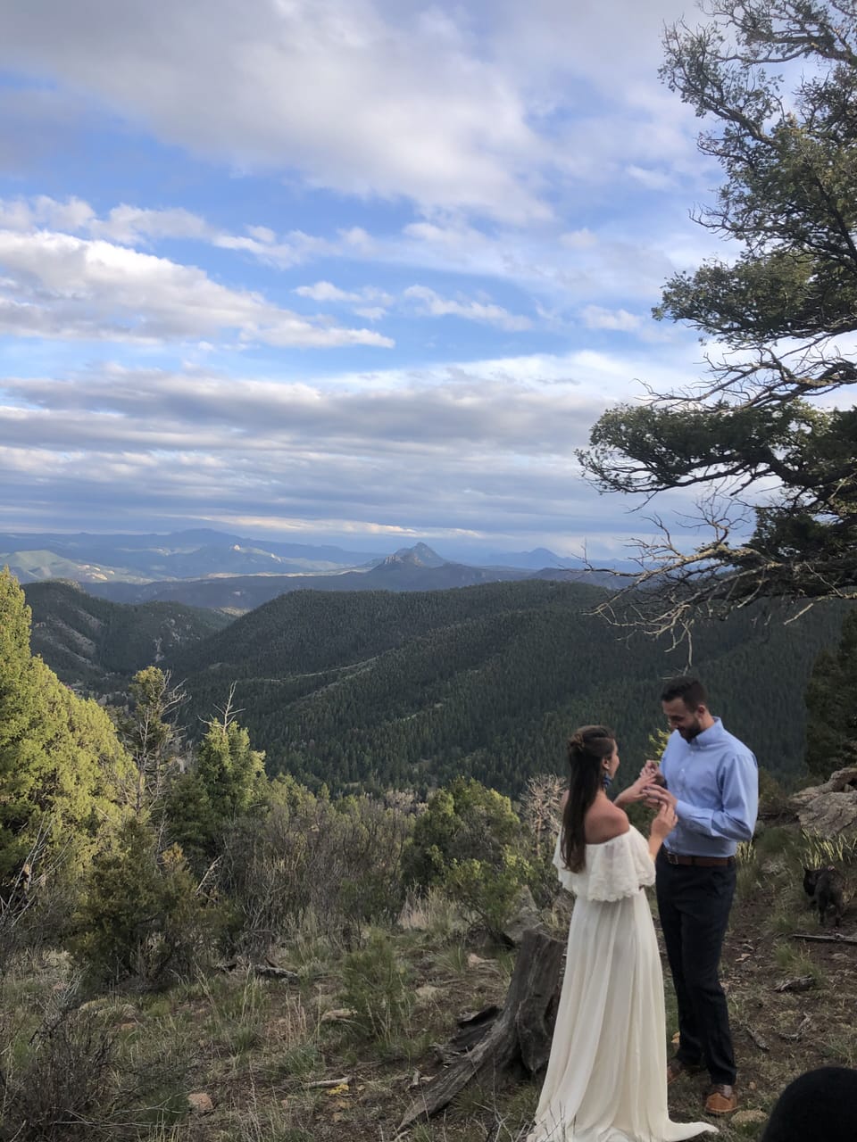 View from property