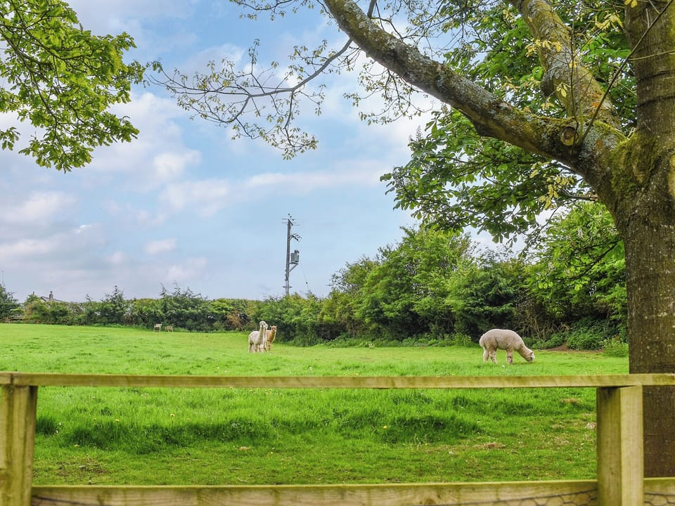 Garden and grounds | Oak Lodge - Dale Garth Lodges, Mascalles, near Ulverston