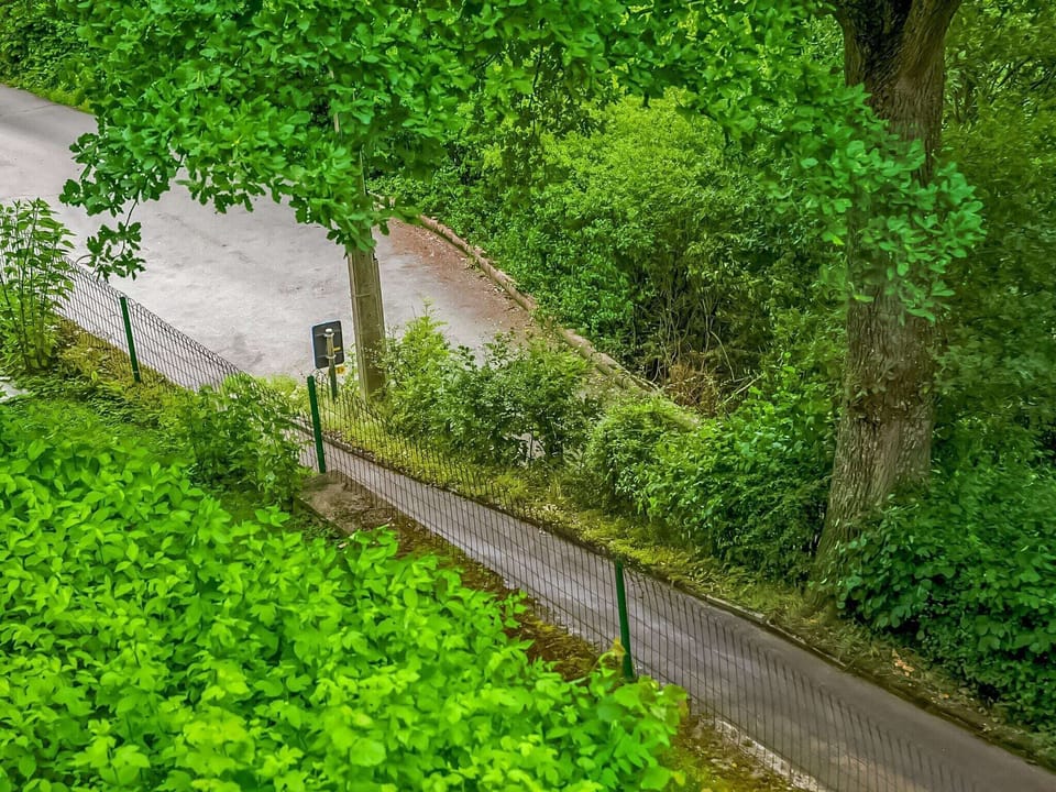 Immediate Surroundings [summer] (<1 km)