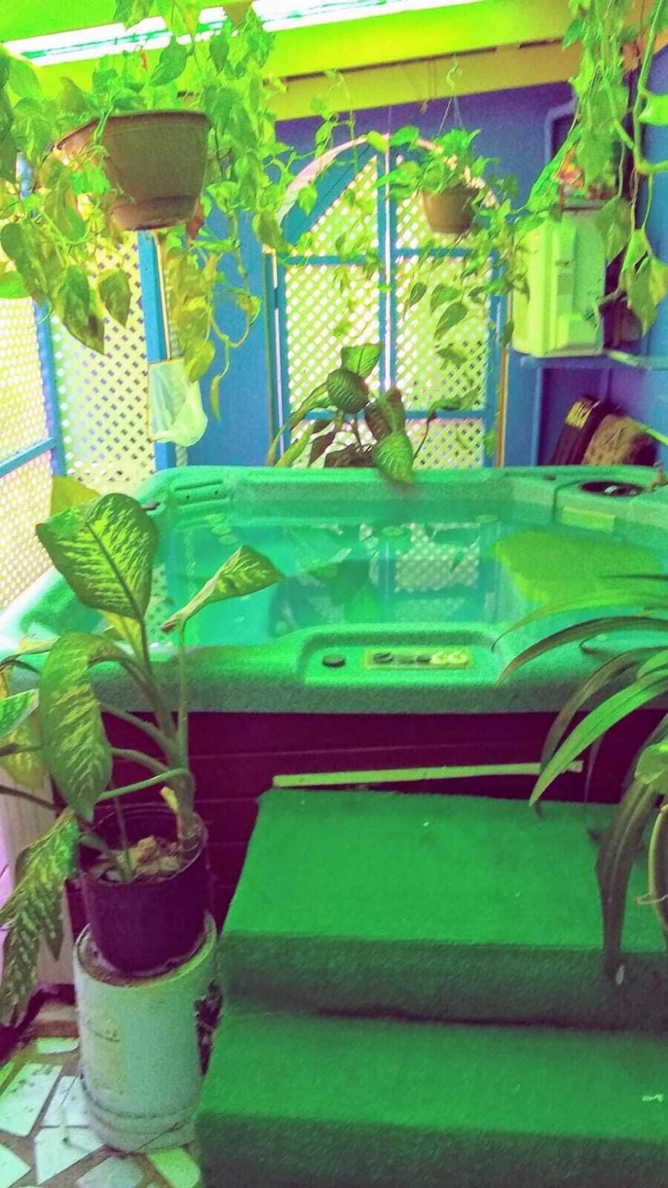 Jacuzzi and spa