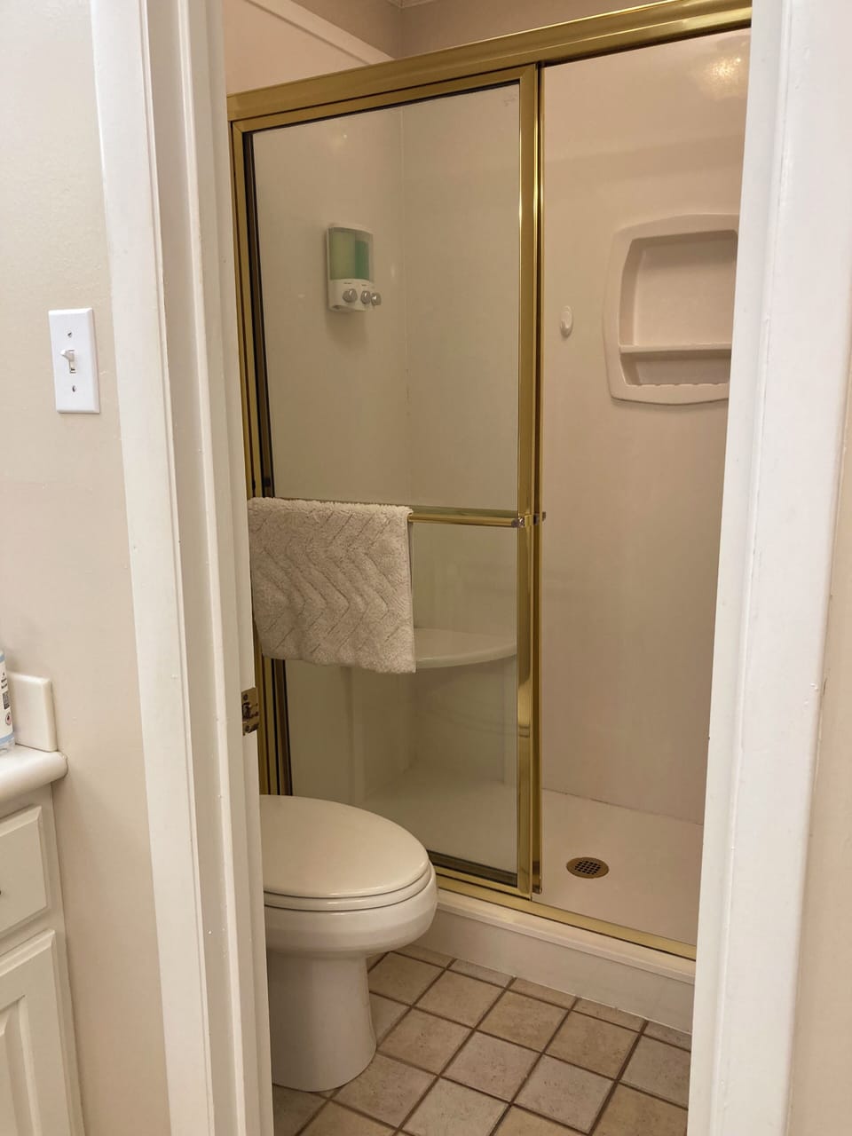 Master Bedroom walk in Shower with jets.