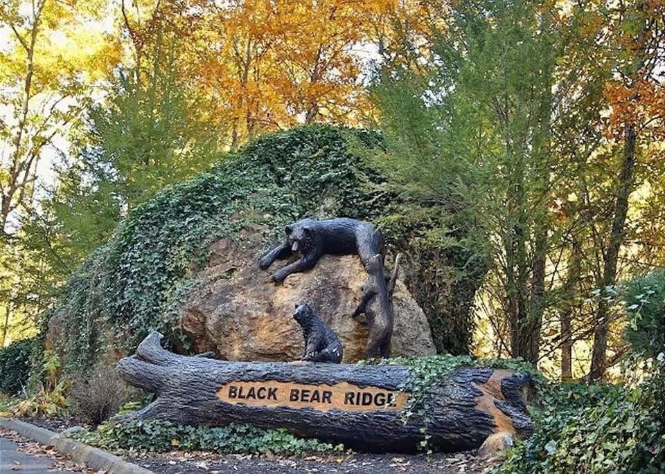 Resort landmark on Lost Branch Rd.