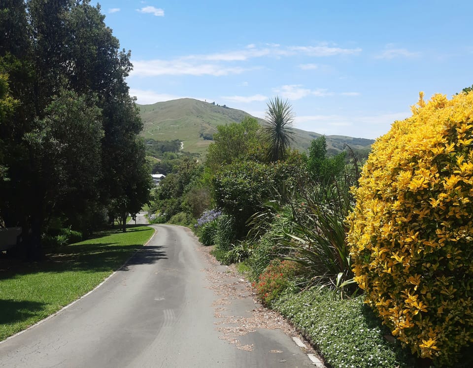 Driveway with rural views