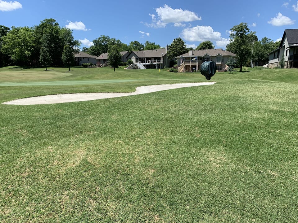 5th Hole Green