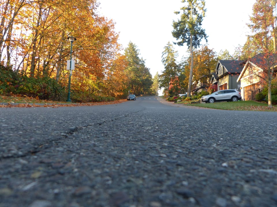 Fall in our Neighbourhood