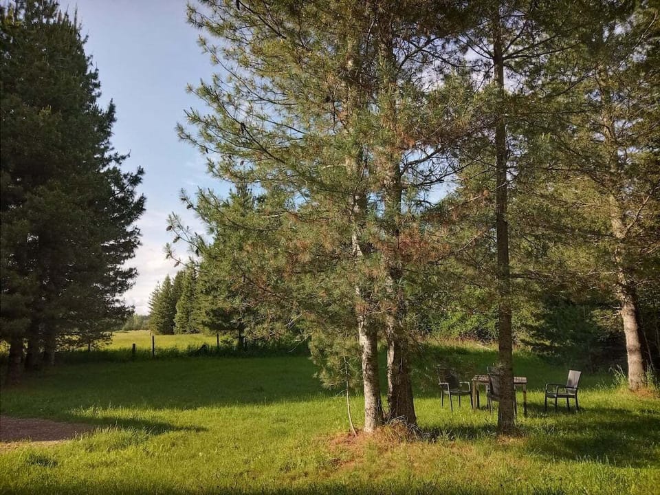 yard