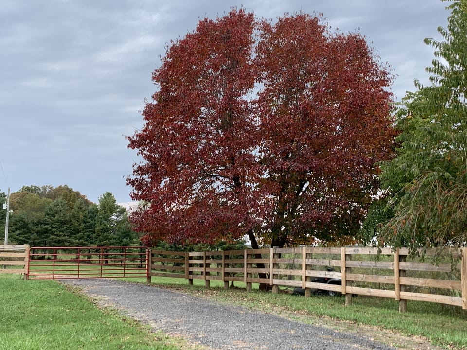 Fall colors at the Farm