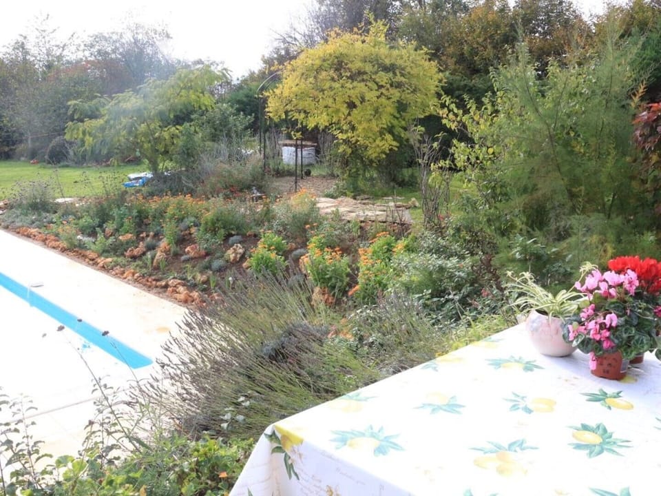 Pergola view from dining area. At NO point are you overlooked!