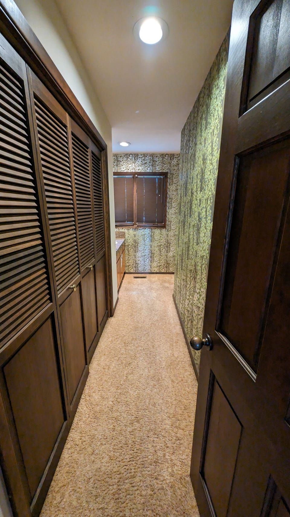 Half bath off the hall