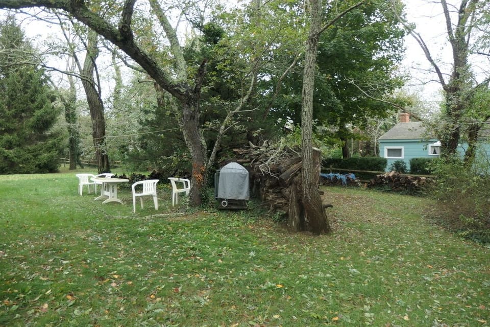 Back yard, plenty of space for games