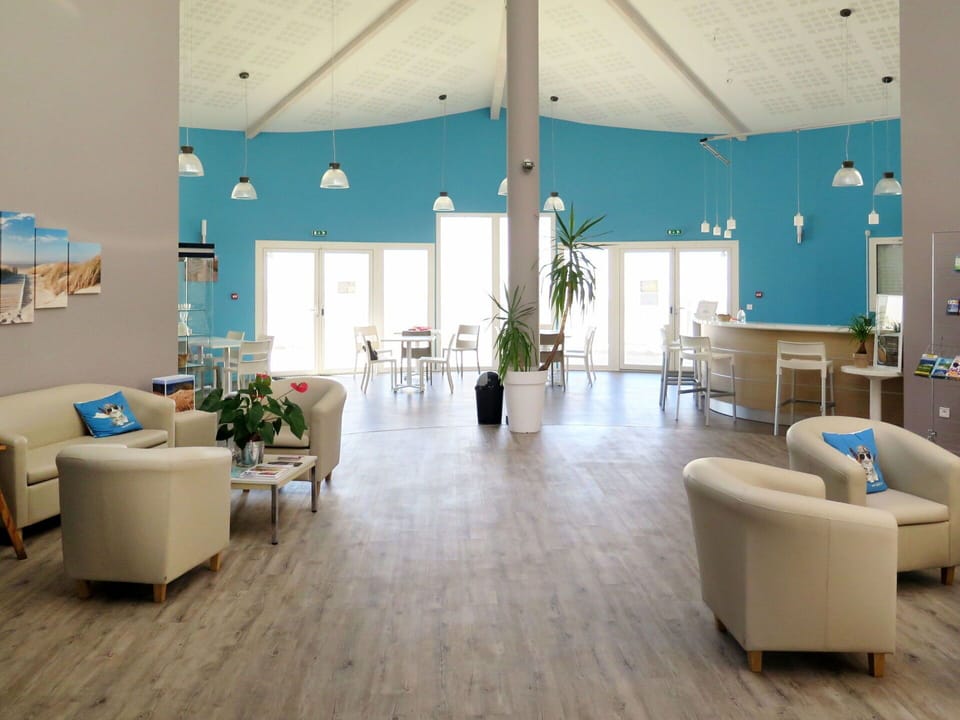 Furniture, Couch, Table, Interior Design, Architecture, Plant, Wood, Flooring, Floor, Decoration