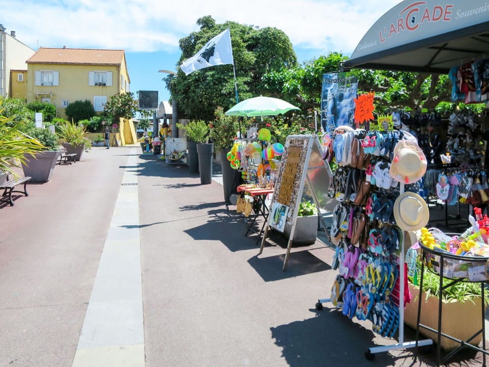Plant, Cloud, Sky, Tree, Leisure, City, Umbrella