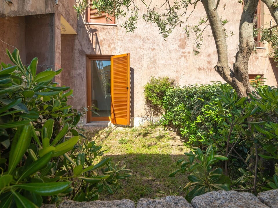 Wall, Shrub, Spring, Garden, Flowerpot, Brick, Landscaping, Yard, Houseplant, Backyard