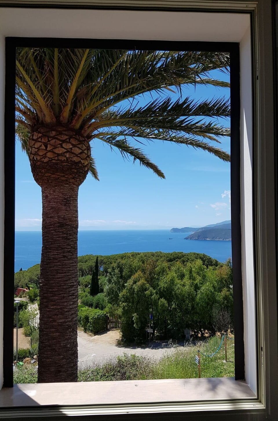 Plant, Daytime, Sky, Water, Nature, Azure, Shade, Wood, Arecales, Tree