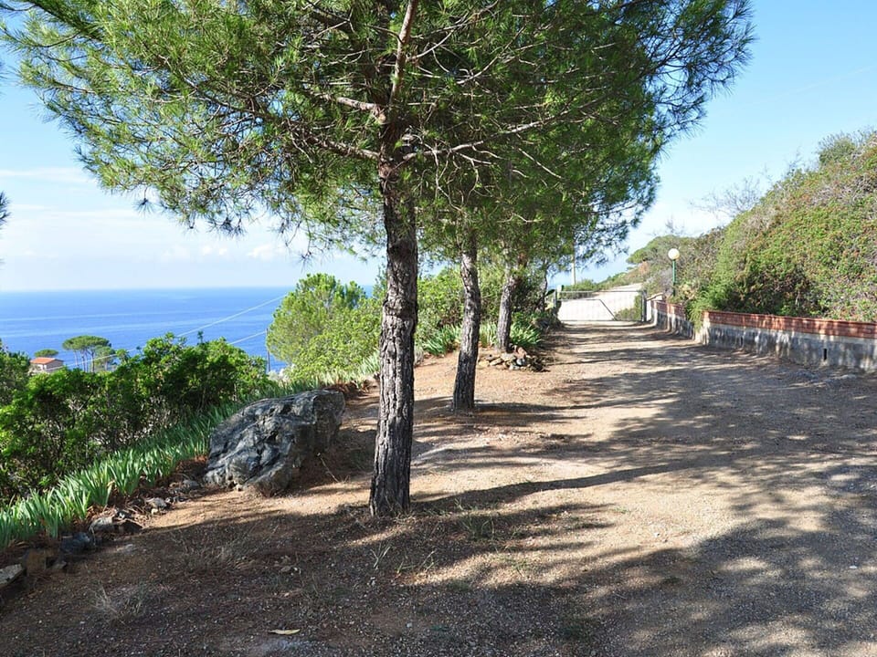 Tree, Property, Vegetation, Shore, Sky, Sea, Coast, Real Estate, Woody Plant, Vacation