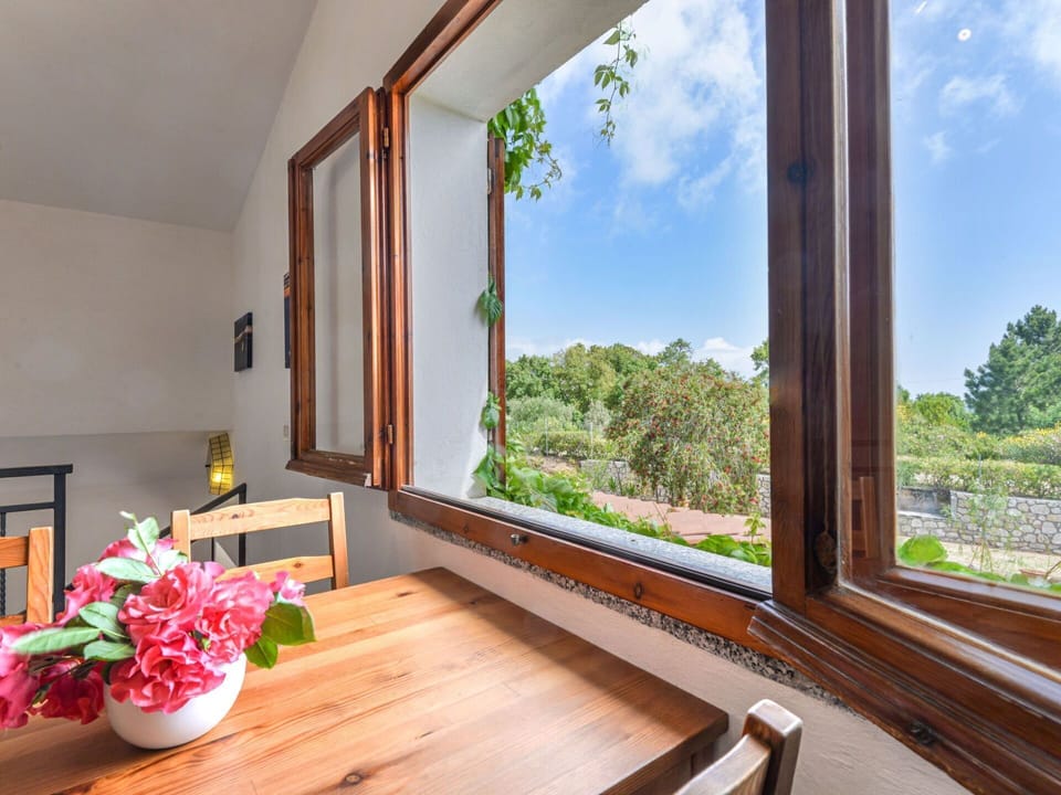 Plant, Cloud, Sky, Table, Property, Flower, Furniture, Building, Window, Wood
