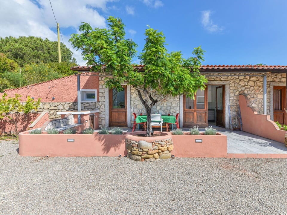 Sky, Cloud, Plant, Building, Window, Land Lot, Wood, House, Tree, Neighbourhood