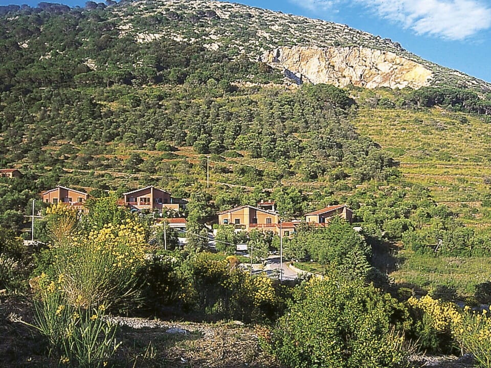 Vegetation, Mountainous Landforms, Natural Landscape, Mountain, Wilderness, Tree, Sky, Hill Station, Hill, Nature Reserve