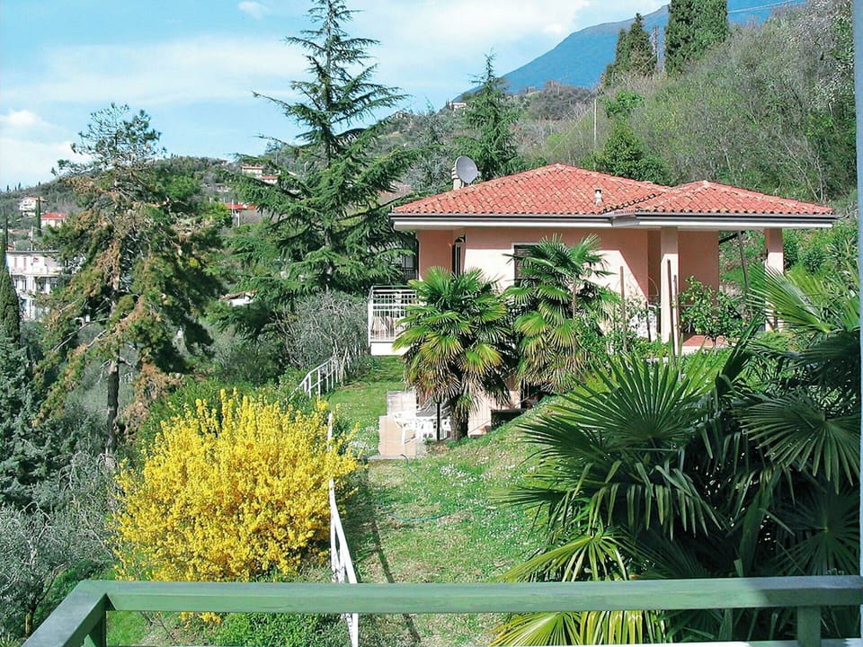 Shrub, Residential Area, Home, Garden, Hacienda, Estate, Evergreen, Villa