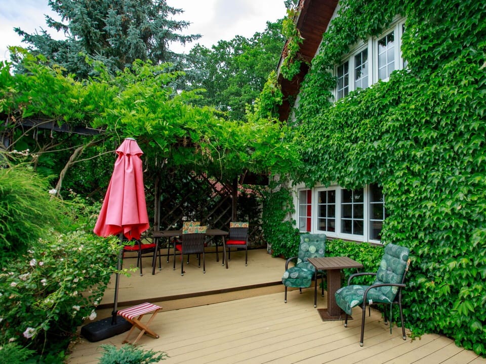 Plant, Window, Green, Building, Sky, Table, Chair, Tree, Outdoor Furniture, Grass