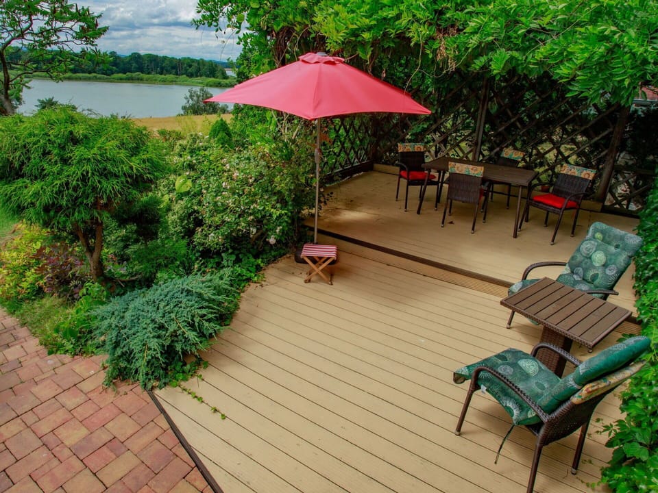Plant, Furniture, Green, Umbrella, Tree, Outdoor Furniture, Shade, Leisure, Wood, Grass