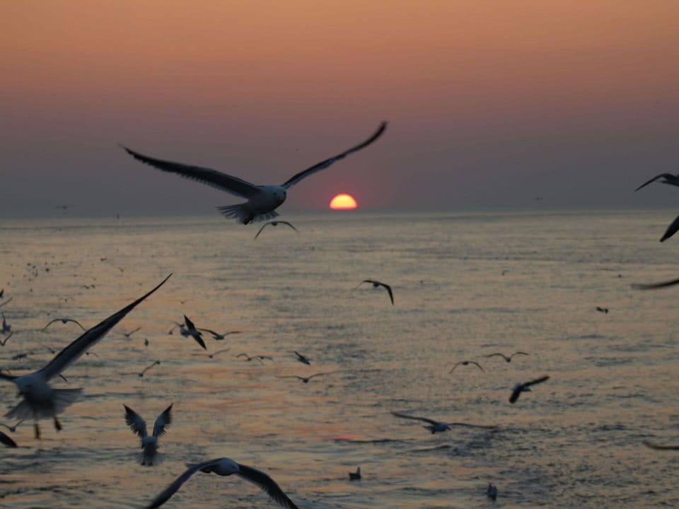 Apartment, Balcony, Resort, Eco Hotel, Villa, Hotel, Outdoor Furniture