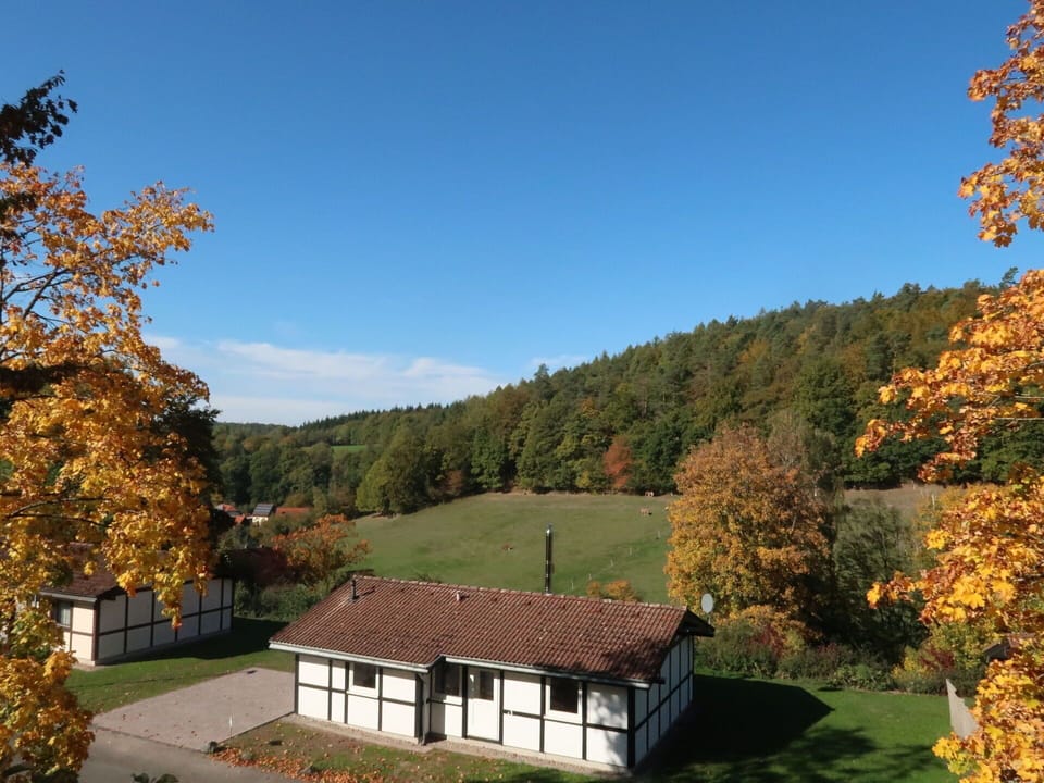 Sky, Cloud, Plant, Leaf, Building, Natural Landscape, Tree, House, Larch, Mountain