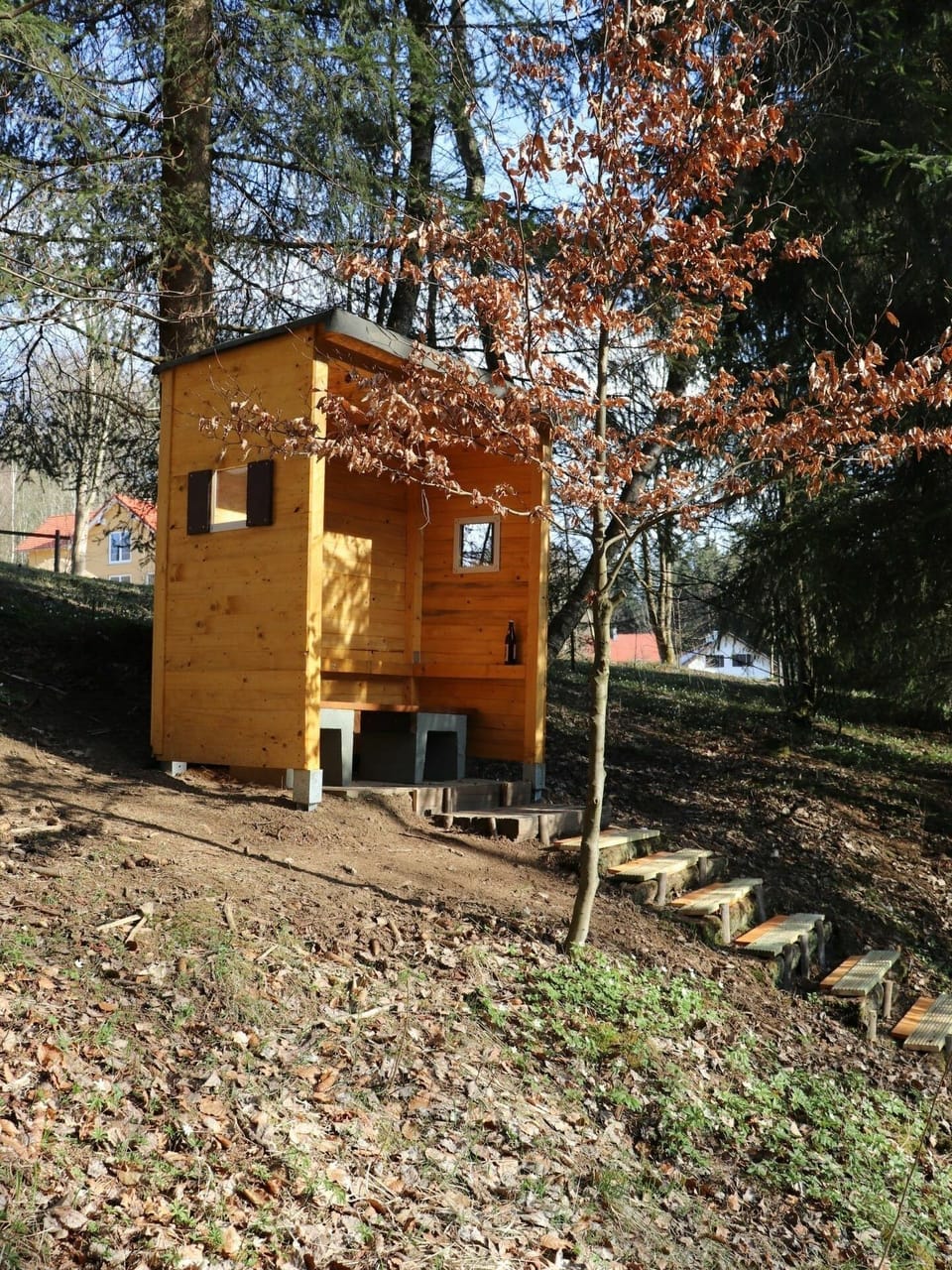 Natural Material, Wood, Plant, Trunk, Tree, Twig, Soil, Composite Material