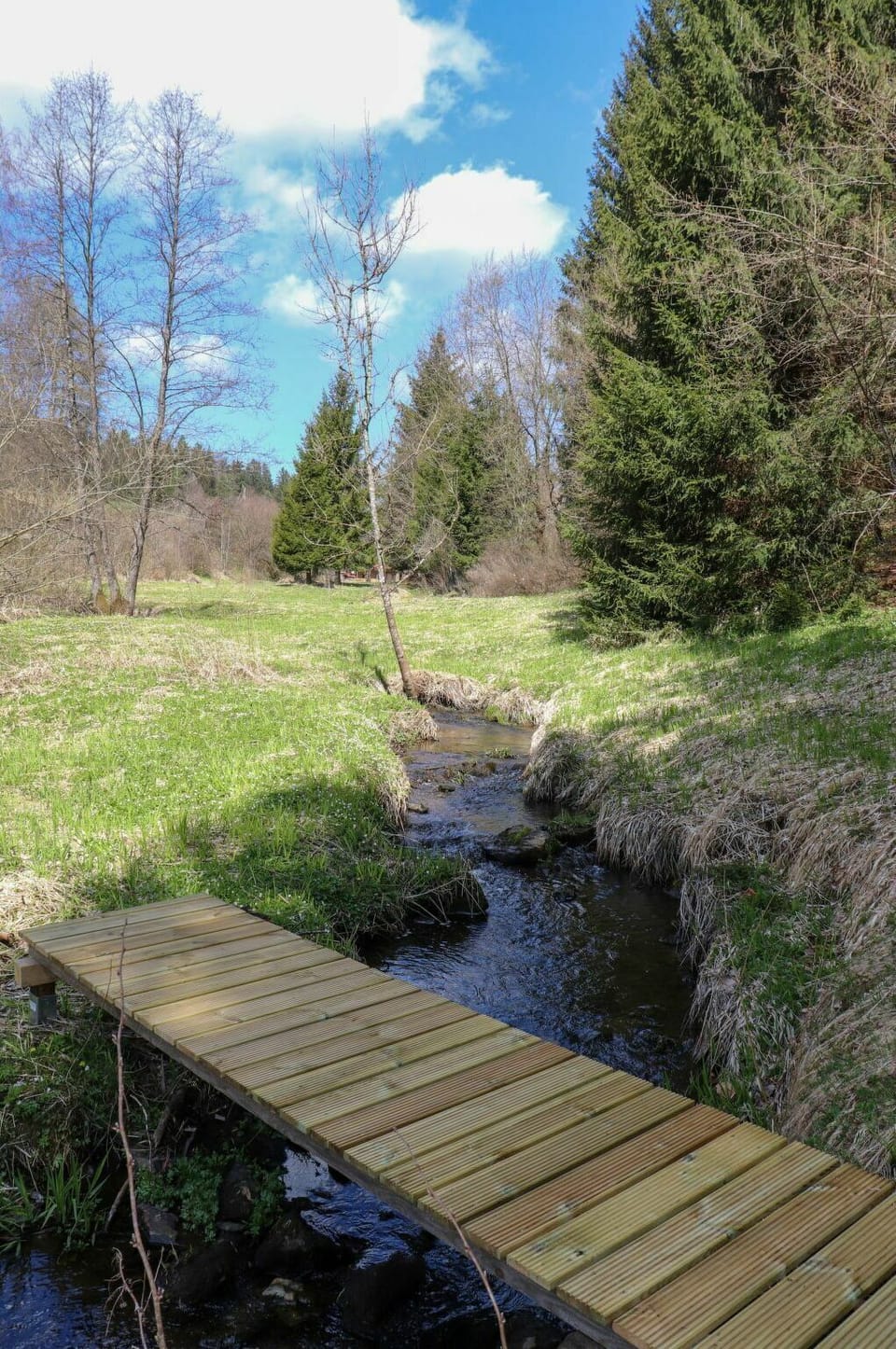 Cloud, Plant, Sky, Water, Nature, Natural Landscape, Tree, Wood, Vegetation