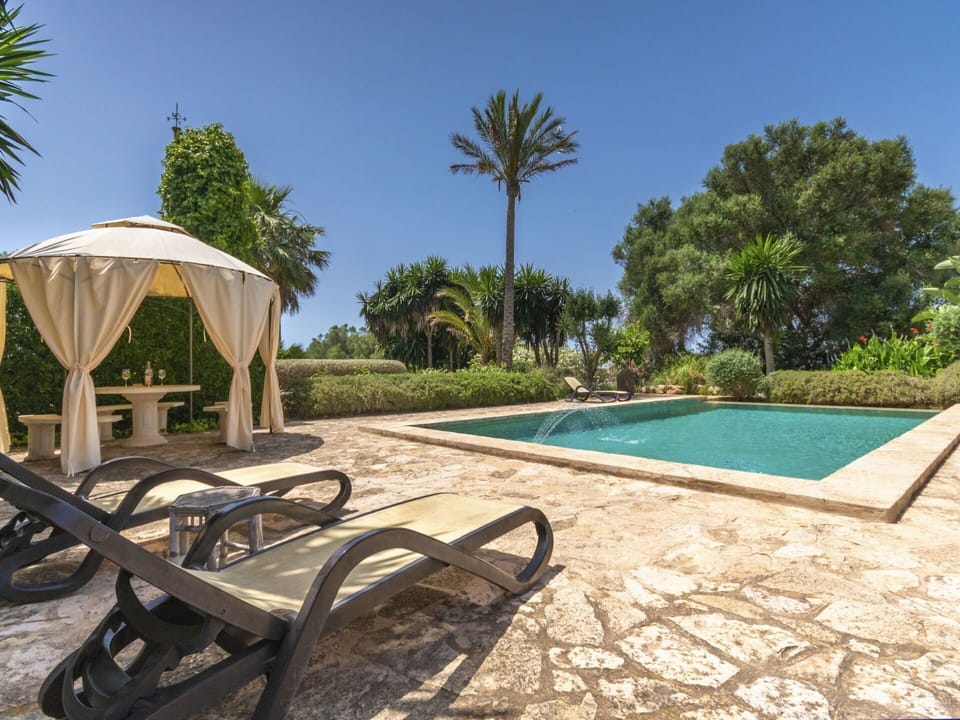 Sky, Plant, Water, Property, Swimming Pool, Azure, Tree, Outdoor Furniture, Shade, Arecales