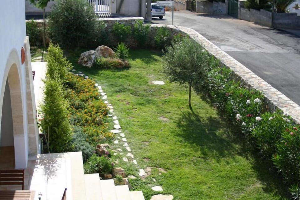 Garden [summer]