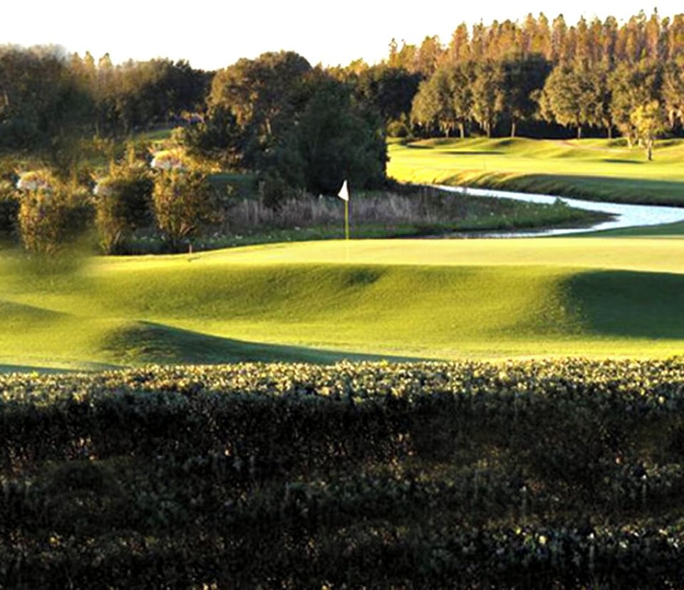 TPC Golf